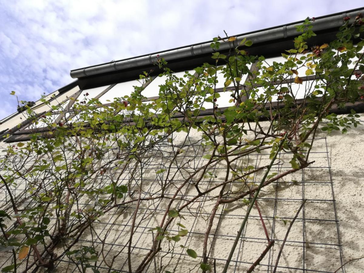 Praesenzhof Lay Appartement Buitenkant foto